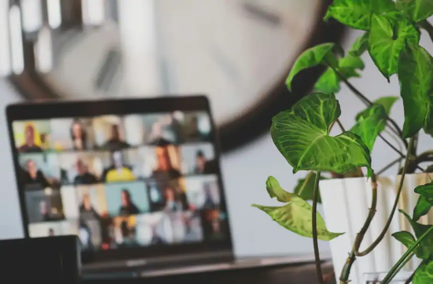 Virtual meeting with diverse group of professionals on a video call.